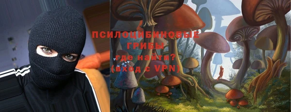 спайс Ельня