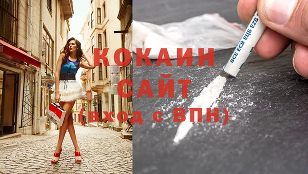 спайс Ельня