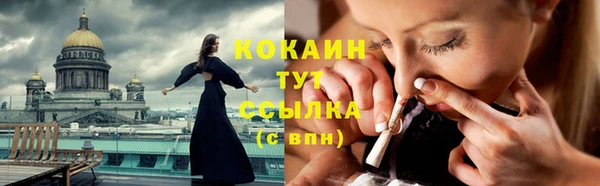 спайс Ельня