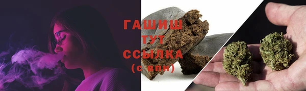 спайс Ельня