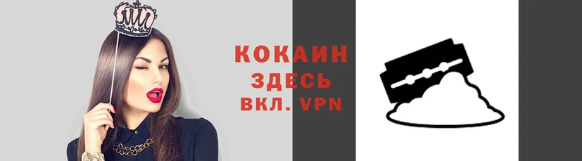 сатива Елизово