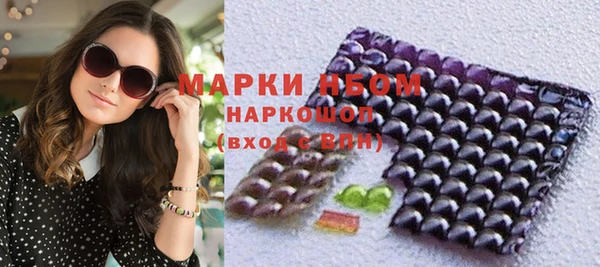 сатива Елизово
