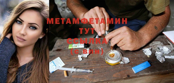 сатива Елизово