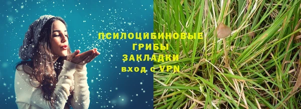 сатива Елизово