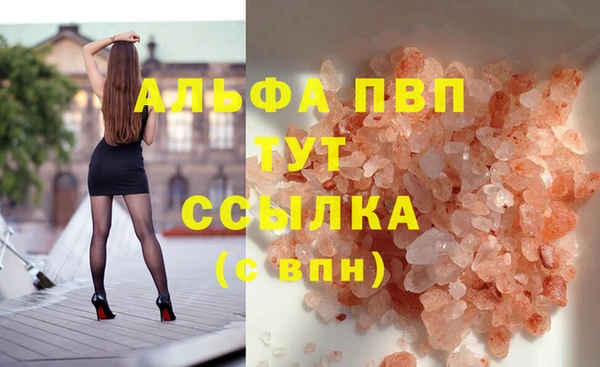 спайс Ельня