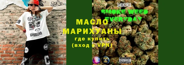 спайс Ельня