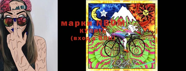сатива Елизово