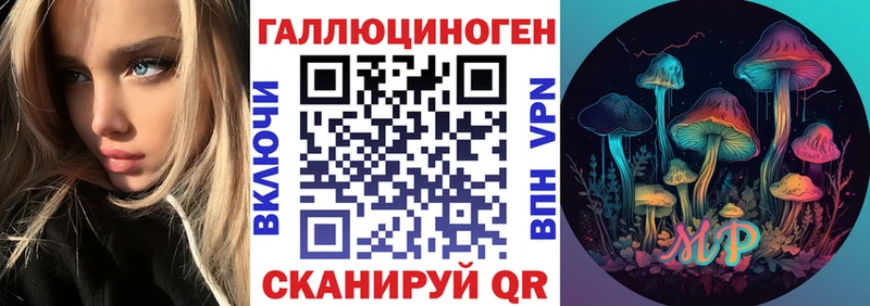 Галлюциногенные грибы Psilocybe  сколько стоит  Ковров 